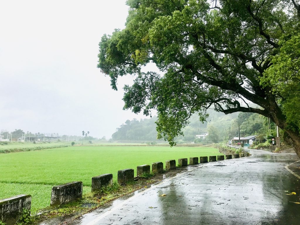 在花蓮和台東交界的卓富公路拍攝